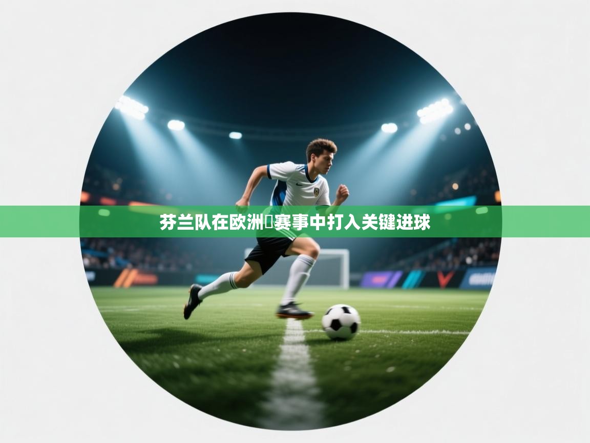 芬兰队在欧洲盃赛事中打入关键进球  第2张